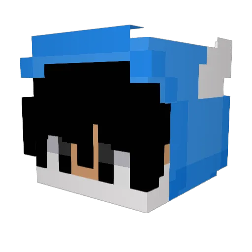 LatrozNinja Minecraft avatar head, 3D render