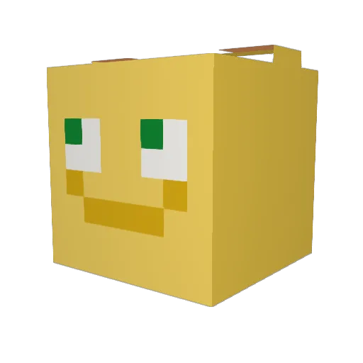 Lattapotta Minecraft avatar head, 3D render
