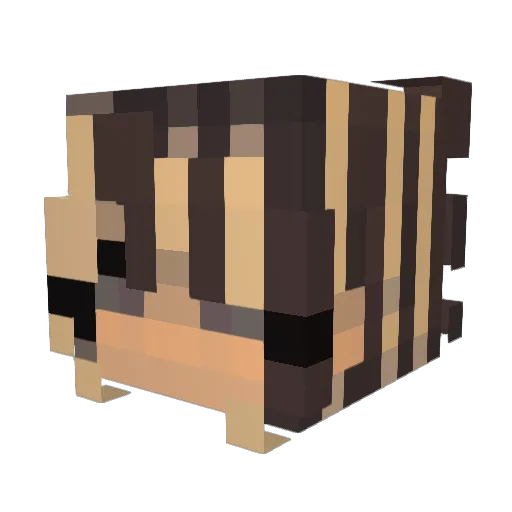 LattePR Minecraft avatar head, 3D render