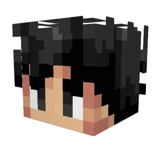 Lauchstangeee Minecraft avatar head, 3D render