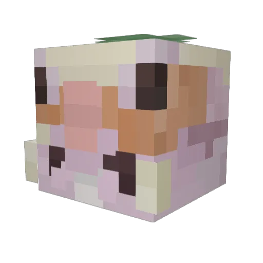 Lauduline Minecraft avatar head, 3D render