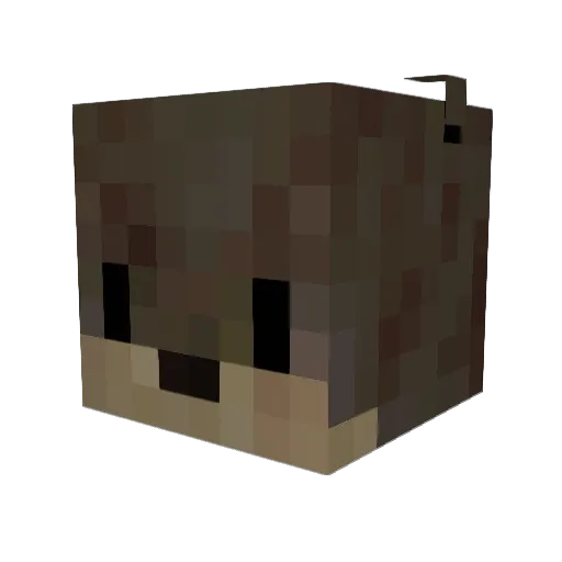 LaughingOtty Minecraft avatar head, 3D render