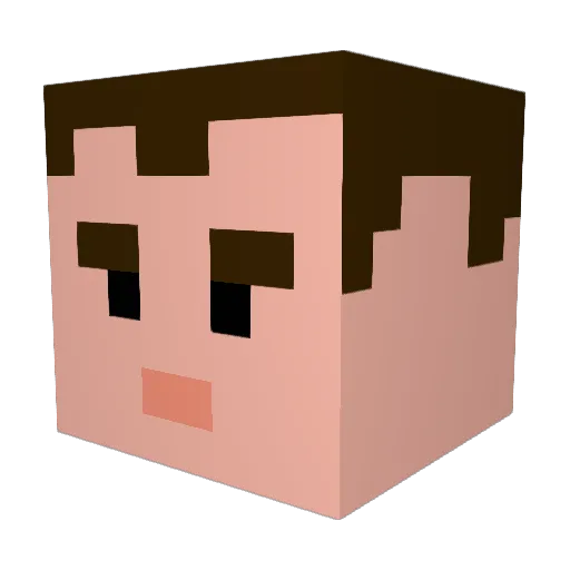 LaughingPanda570 Minecraft avatar head, 3D render
