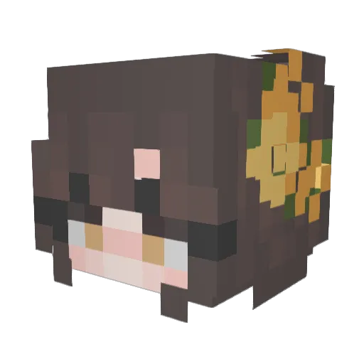 Laugi_ove Minecraft avatar head, 3D render