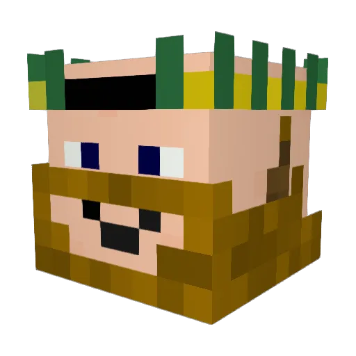 LaundryDetergent Minecraft avatar head, 3D render