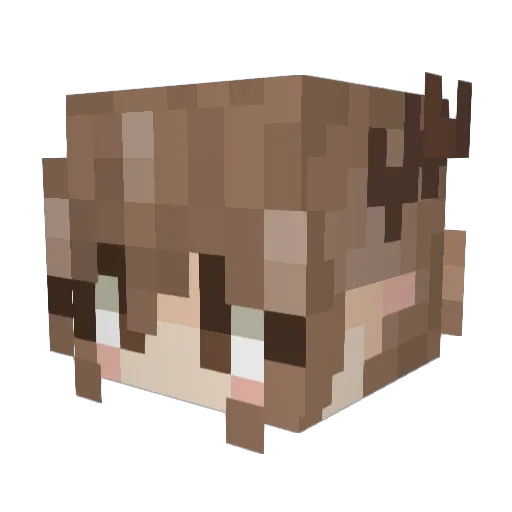 Laundrybear3 Minecraft avatar head, 3D render