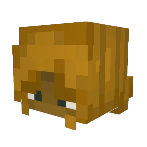 Launotlaws Minecraft avatar head, 3D render