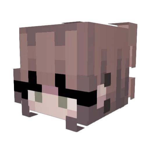 Laura1827 Minecraft avatar head, 3D render