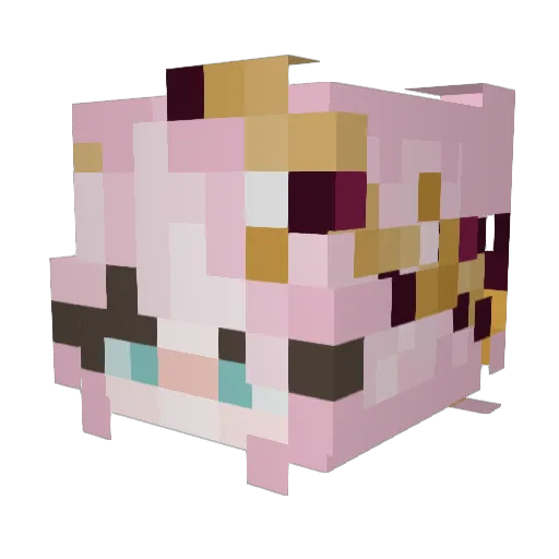 Laura9599 Minecraft avatar head, 3D render