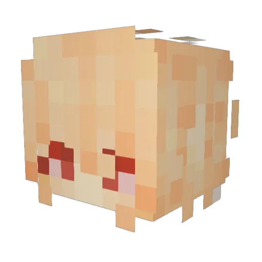LauraLikesLogs Minecraft avatar head, 3D render