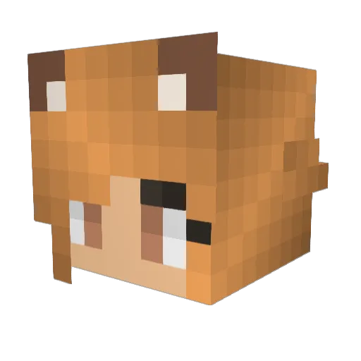 LauraLuca25 Minecraft avatar head, 3D render