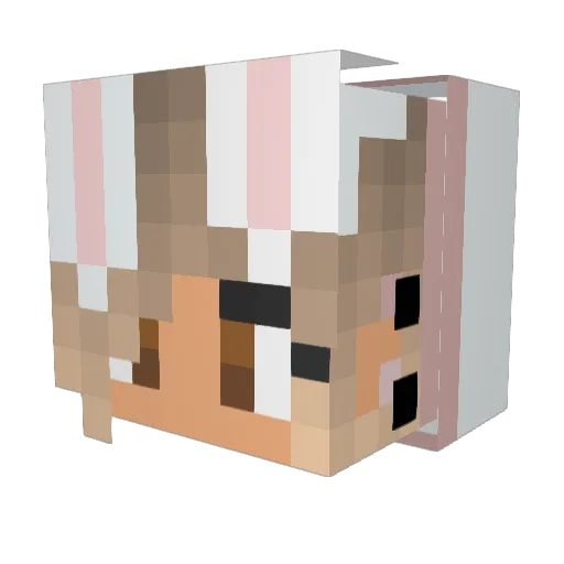LauraMaria2007 Minecraft avatar head, 3D render