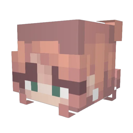 LauraNaCl Minecraft avatar head, 3D render