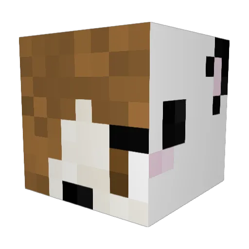 LauraS15 Minecraft avatar head, 3D render