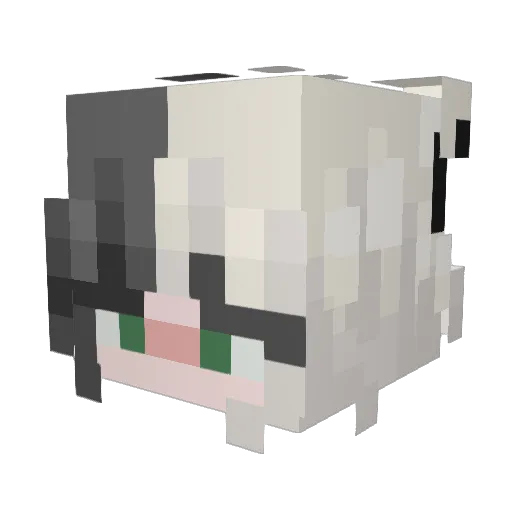 Laura_Explorer Minecraft avatar head, 3D render