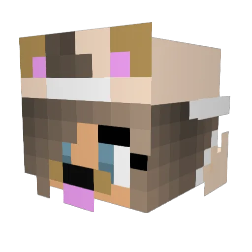 LauraaaaaaYT Minecraft avatar head, 3D render
