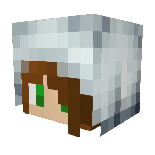 Lauraglahn Minecraft avatar head, 3D render