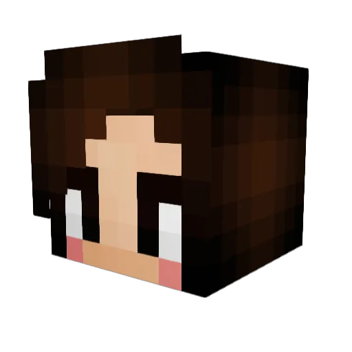 Lauraince Minecraft avatar head, 3D render