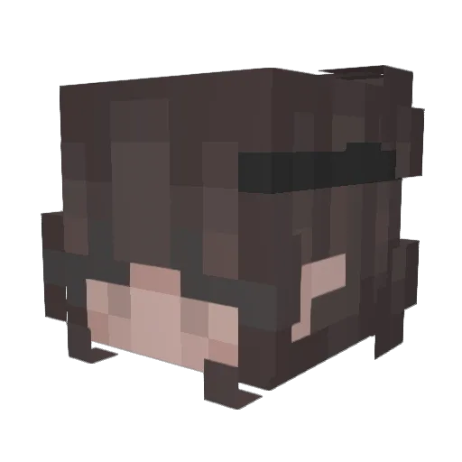 Lauralachs Minecraft avatar head, 3D render