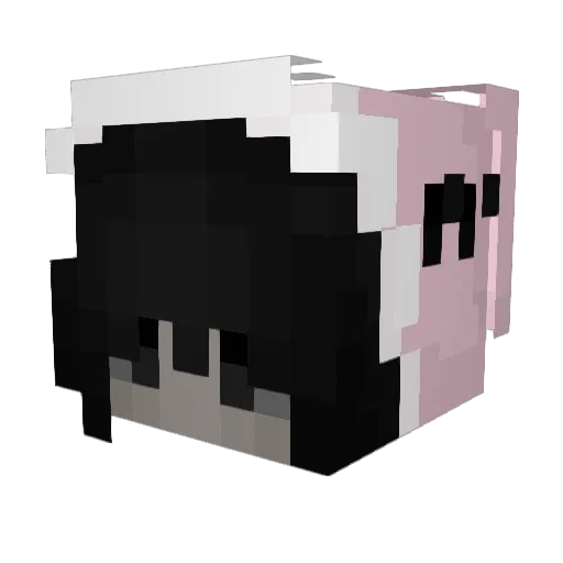 Lauraleinn Minecraft avatar head, 3D render