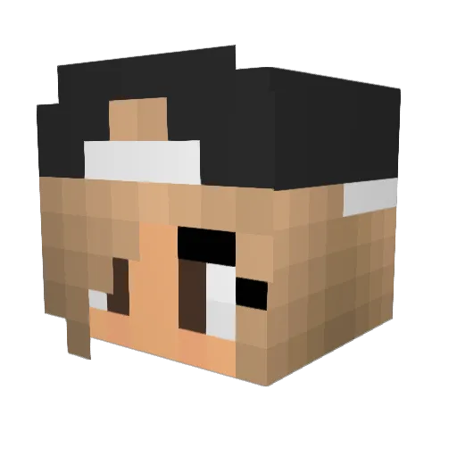 Lauratj Minecraft avatar head, 3D render