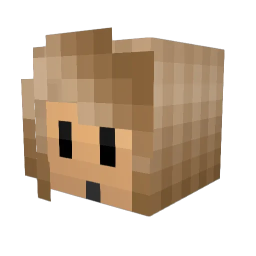 Laurbug Minecraft avatar head, 3D render