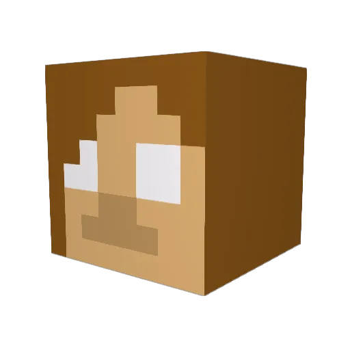 Laurel876 Minecraft avatar head, 3D render