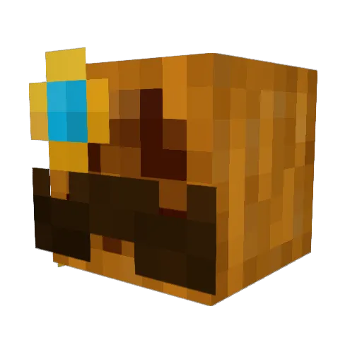 LaurenGumDrops Minecraft avatar head, 3D render