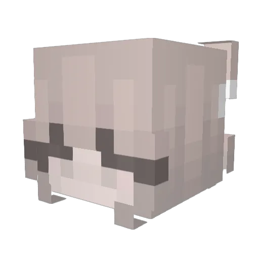 Laurie_315 Minecraft avatar head, 3D render