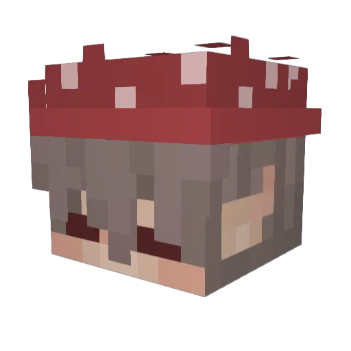LaurinhaMC Minecraft avatar head, 3D render