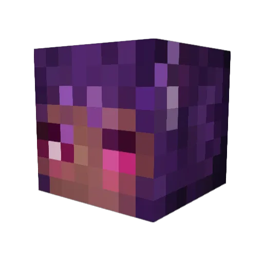 LauryaEros Minecraft avatar head, 3D render