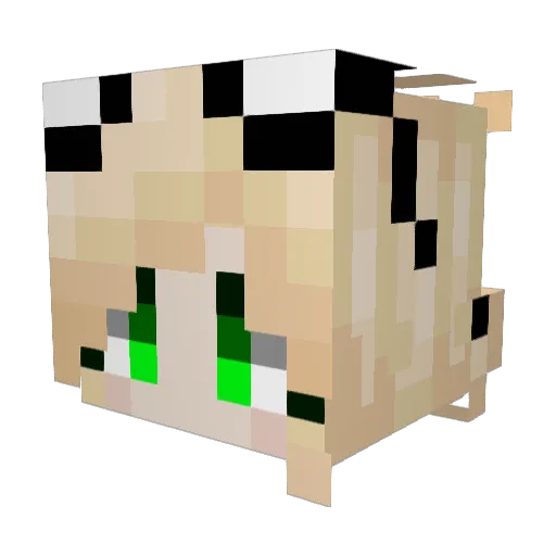 Laurytte Minecraft avatar head, 3D render