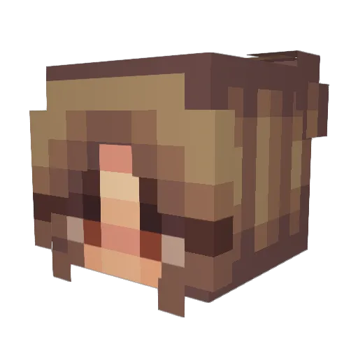 Lauser2812 Minecraft avatar head, 3D render