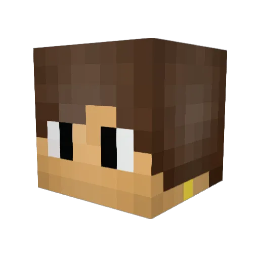 Laususss Minecraft avatar head, 3D render