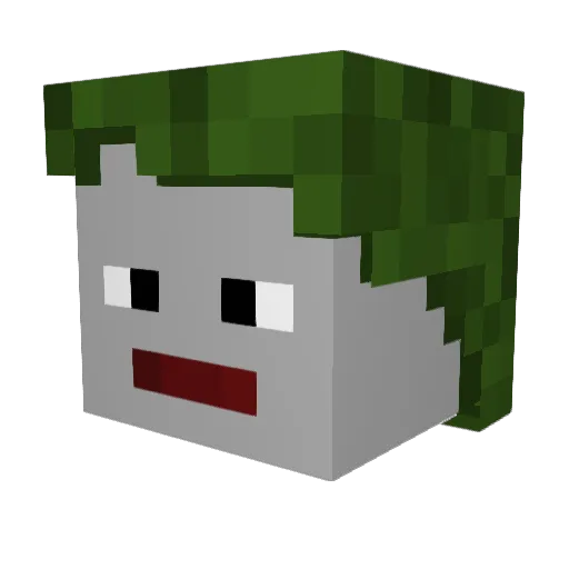 Lautaro95 Minecraft avatar head, 3D render