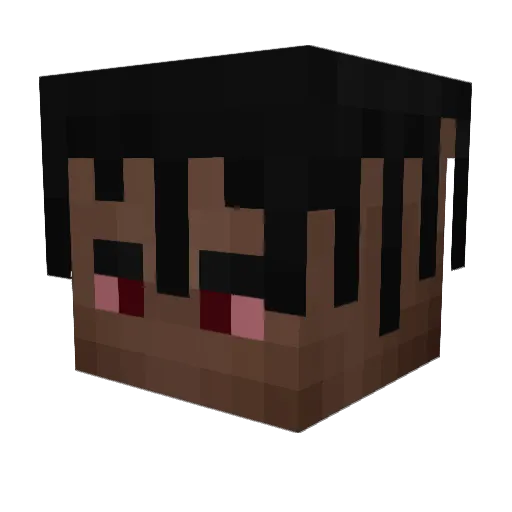 Lauty_X Minecraft avatar head, 3D render