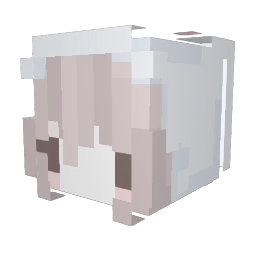 Lauviee0 Minecraft avatar head, 3D render