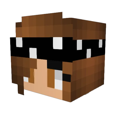 Lauwix445 Minecraft avatar head, 3D render