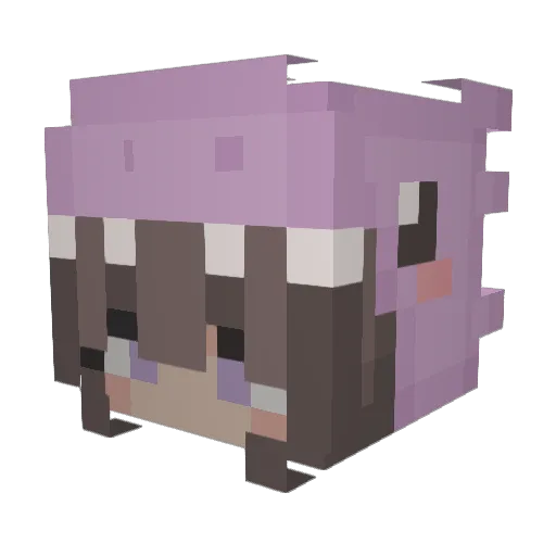 Lav_30 Minecraft avatar head, 3D render