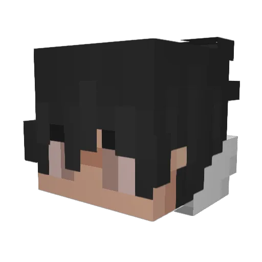 LavaKing9372 Minecraft avatar head, 3D render