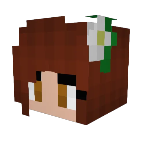 LavaTheLamp Minecraft avatar head, 3D render