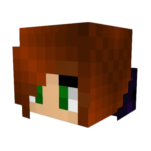 Lavabug12 Minecraft avatar head, 3D render