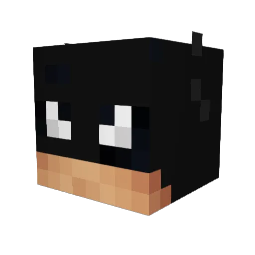 Lavapool98 Minecraft avatar head, 3D render