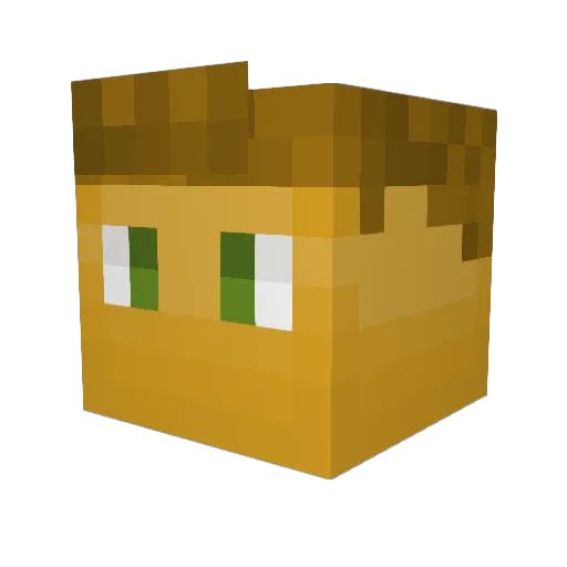 Lavi546 Minecraft avatar head, 3D render