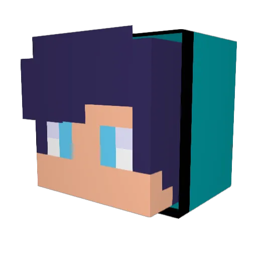 Lavi9112 Minecraft avatar head, 3D render