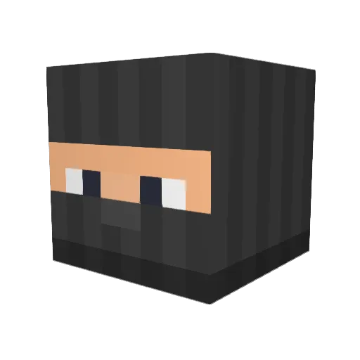 Lavies411 Minecraft avatar head, 3D render