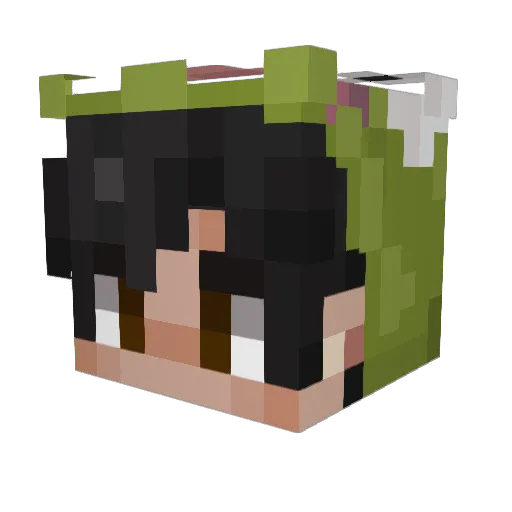 Lavinx Minecraft avatar head, 3D render
