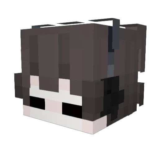 Lavion45 Minecraft avatar head, 3D render