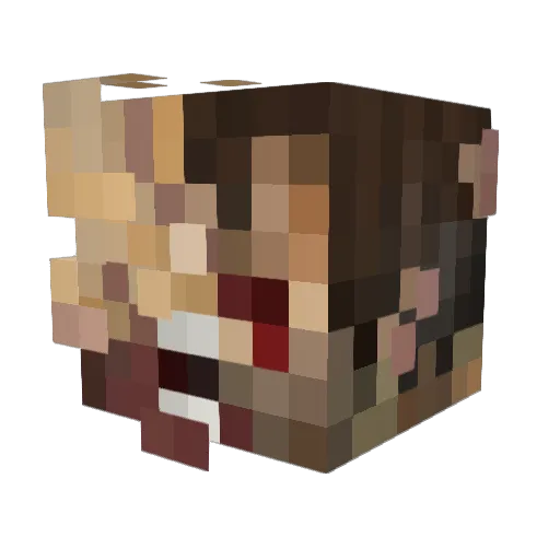 Lavis31 Minecraft avatar head, 3D render