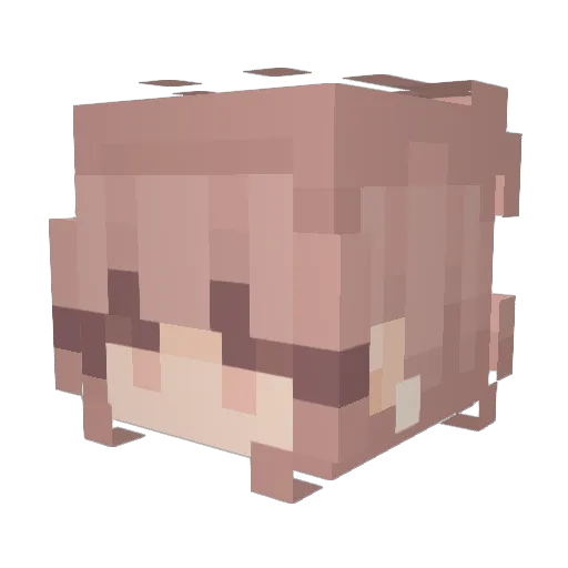 Lavlus Minecraft avatar head, 3D render